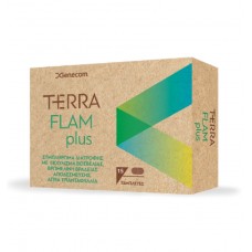 TERRA FLAM PLUS CAP X15 αντιφλεγμονωδεs